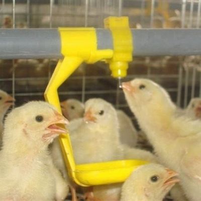 Automatic Poultry Chicken Ball Valve Nipple Drinkers For Poultry Drinking System