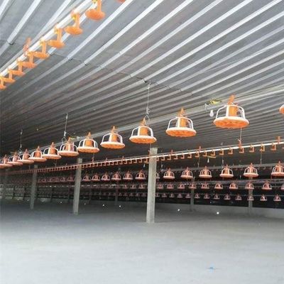 Poultry Pan Feeding System Automatic Poultry Feeder System With Stern Shaft
