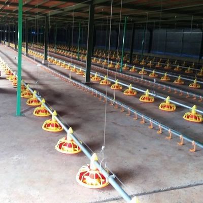 Poultry Pan Feeding System Automatic Poultry Feeder System With Stern Shaft