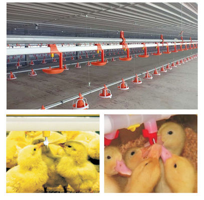 Red Chicken Drinking Nipples With Steel Ball Chicken Waterer Use For Poultry Drinking Cups