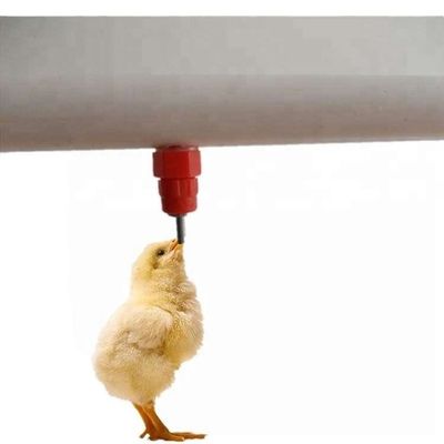 Nipple Drinker Water Drip Cups For Poultry Automatic Chicken Drinking System