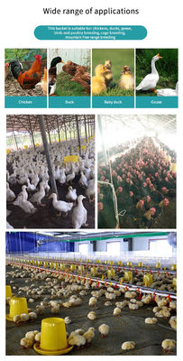 10KG 15KG Plastic Chicken Water Feeder Chicken Feeding Line Parts