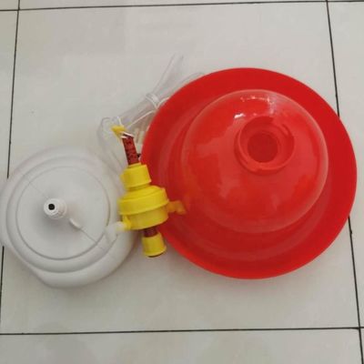Automatic Plasson drinkers animal feed