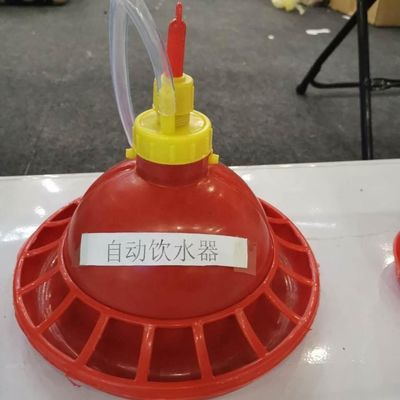 Automatic Plasson drinkers animal feed