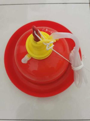 Automatic Plasson drinkers chicken water