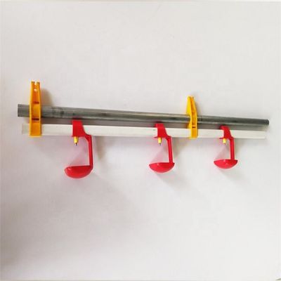 Orange Lubing Poultry Drinkers Poultry Drinking Line For Chicken House