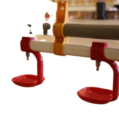 Automatic Nipples Water Drinking system poultry water drinking cups automatic chicken feeder