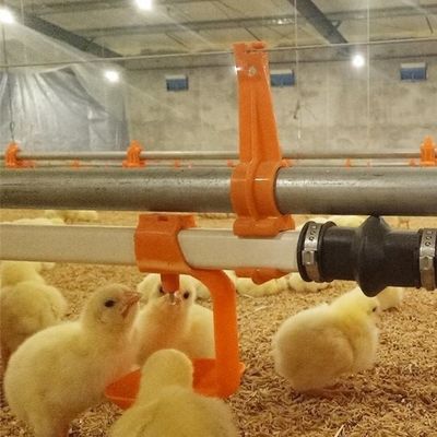 Automatic Chicken Drinking Nipples Poultry Equipment For Broiler Chicken Farms