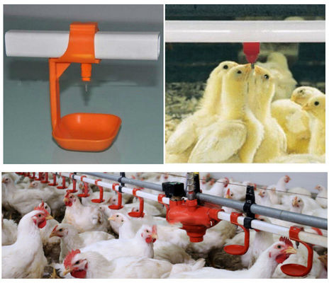 Yellow Poultry Auto Drinker System Broiler Nipple Drinker With Cup