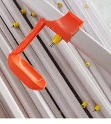 A complete set of plastic line raising equipment for duck farm in high quality chicken farm