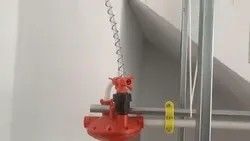 A complete set of plastic line raising equipment for duck farm in high quality chicken farm