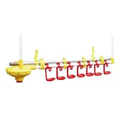 Customizable Easy To Install And Clean Chick Feeding Drinker