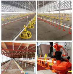 Feeding equipment for breeding chicken feed line barrel type metering synchronous feeding system to support spot