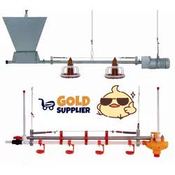 Poultry Feed Pans Raised Chicken Waterer Equipment Needed To Raise Chickens