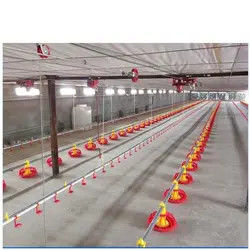 Galvanized Chicken Raising Equipment Poultry Drinking Line Raised Chicken Waterer