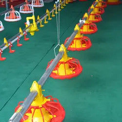 Customized Poultry Chick Line Feeder Broiler House Flooring Tube Chain Conveyor