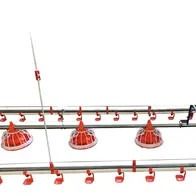 Original factory wholesale, flat chicken goose automatic feeding system, chicken duck feed line