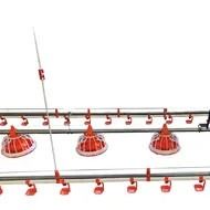Poultry Feed Pans Raised Chicken Waterer Equipment Needed To Raise Chickens