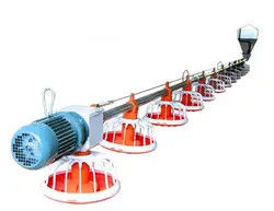 1.5KW Chicken Feeding Line Automatic Feeding Machine For Poultry