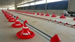14/16 Pan 1.1Kw Chicken Feeding Line Poultry Farm Feeding System