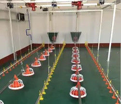 Poultry House Automatic Auger Feeding System Chicken Cage Feeder
