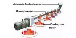 Raising Chicken Feeding Line Steel PP Poultry Pan Feeding System