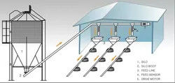 Raising Chicken Feeding Line Steel PP Poultry Pan Feeding System
