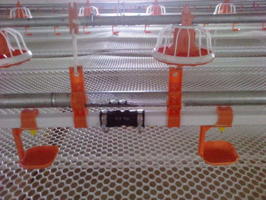 Animal Hydration Poultry Drinking Line 0.6MPa Broiler Auto Drinker
