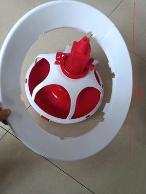 A feeding dish for ducks and geese