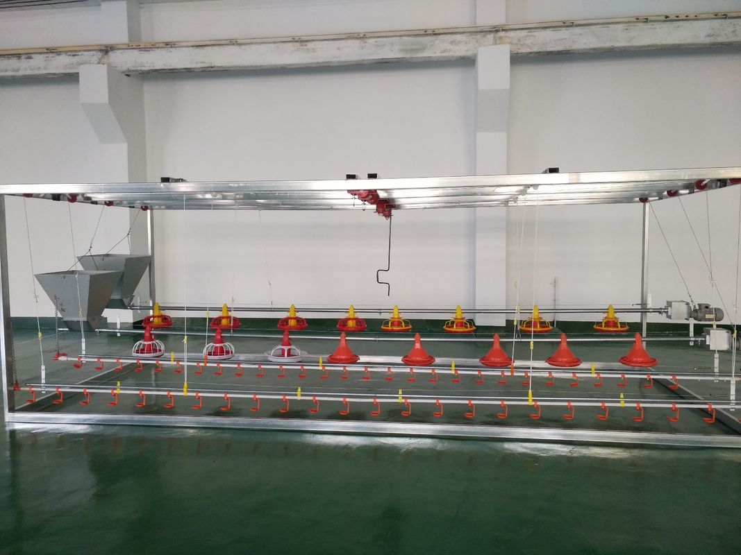 Broiler Automatic Chicken Feeder System Using Microcontroller