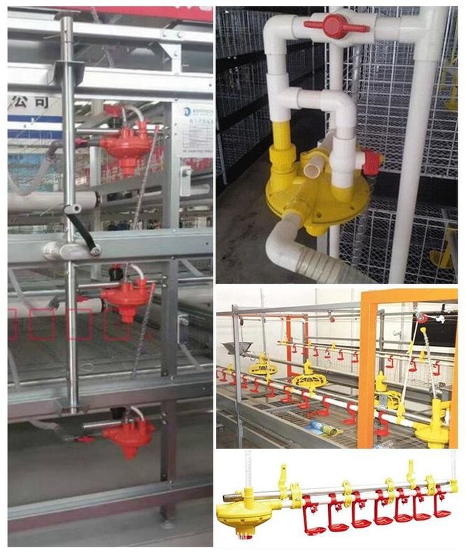 Chicken farm with automatic feeder winch main auxiliary 45 Feed Line Lifting Cup round pipe water line chicken house fee