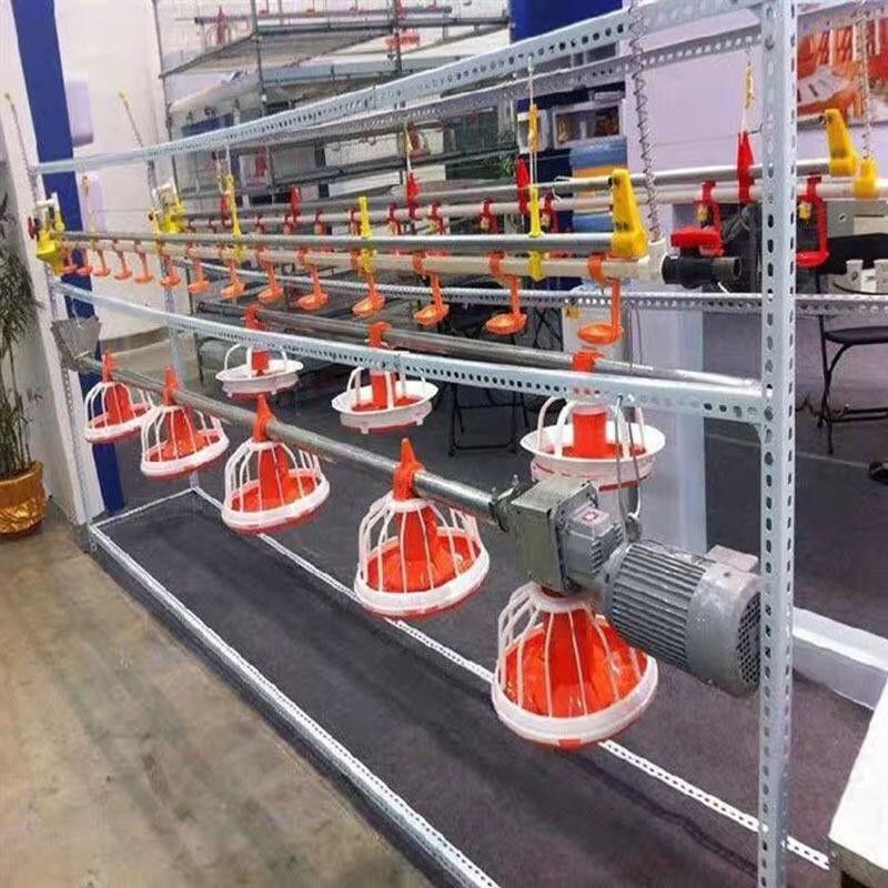 2kg-4Kg / Time Automatic Broiler Feeding System Poultry Farm Feeding System