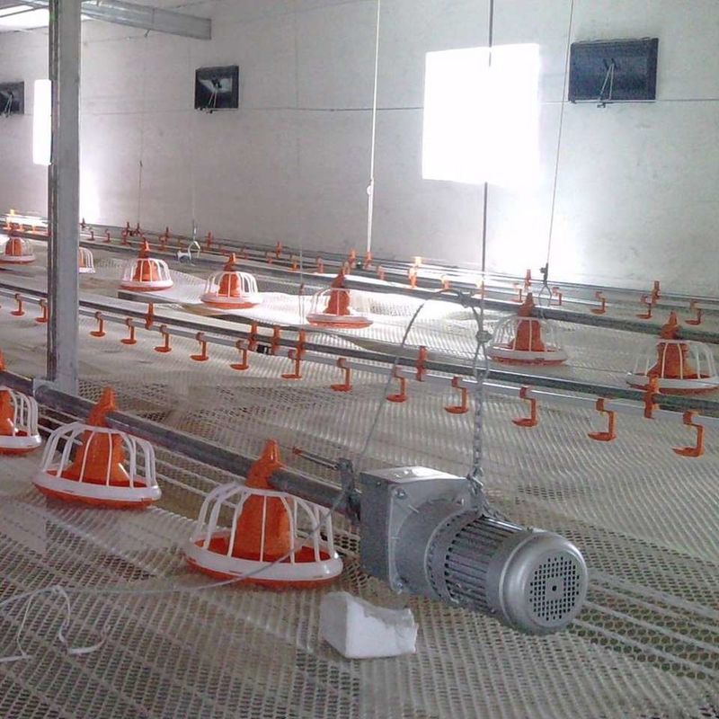 220V 50Hz Automatic Broiler Feeding System 2.2KW Stainless Steel