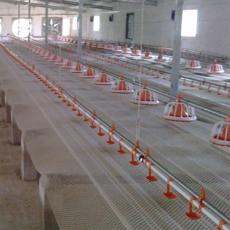 Broiler Feeding Pan Poultry Drinking Line Nipple Drinker For Quail