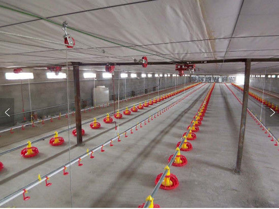 Broiler Automatic Pan Feeding System 2.2KW Automatic Water System For Chickens