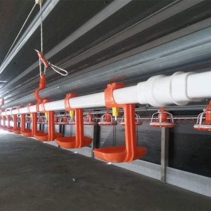 Orange Chicken Watering System Low Pressure Automatic Poultry Watering System