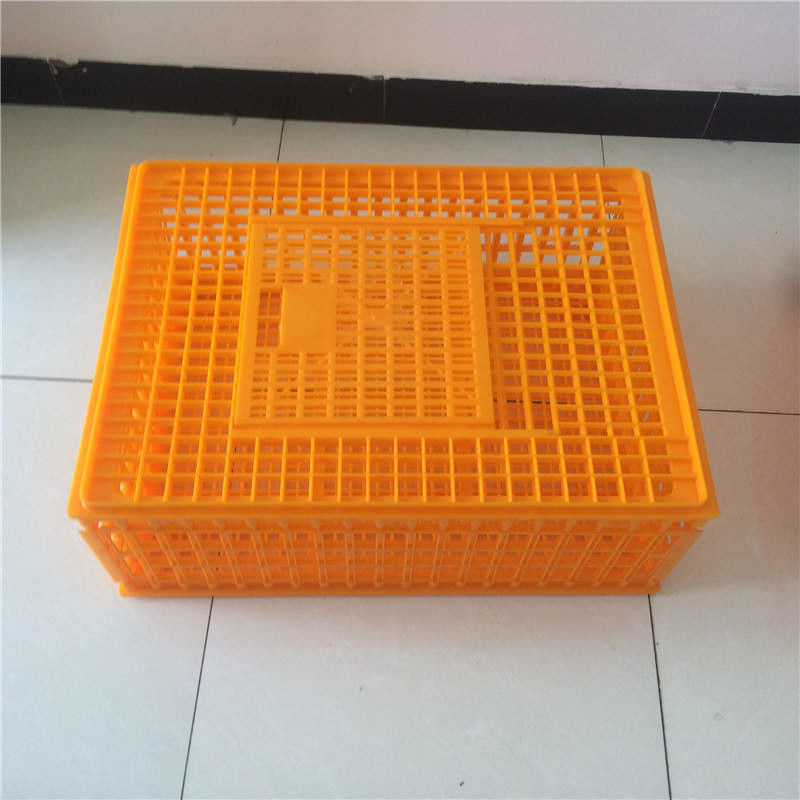 Plastic crates for the transfer of chickens