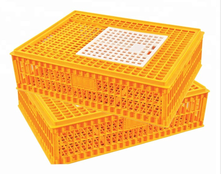 Orange Plastic Chicken Transport Cages PE Plastic Poultry Carrier
