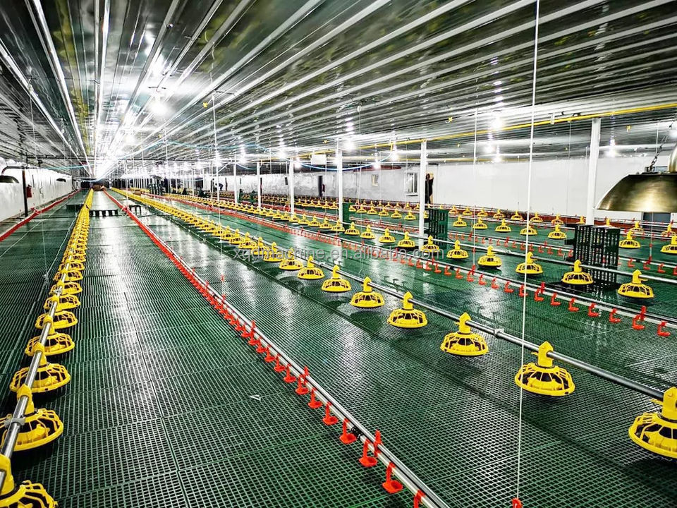 Intelligent Automatic Broiler Feeding System Hopper Poultry Feeder