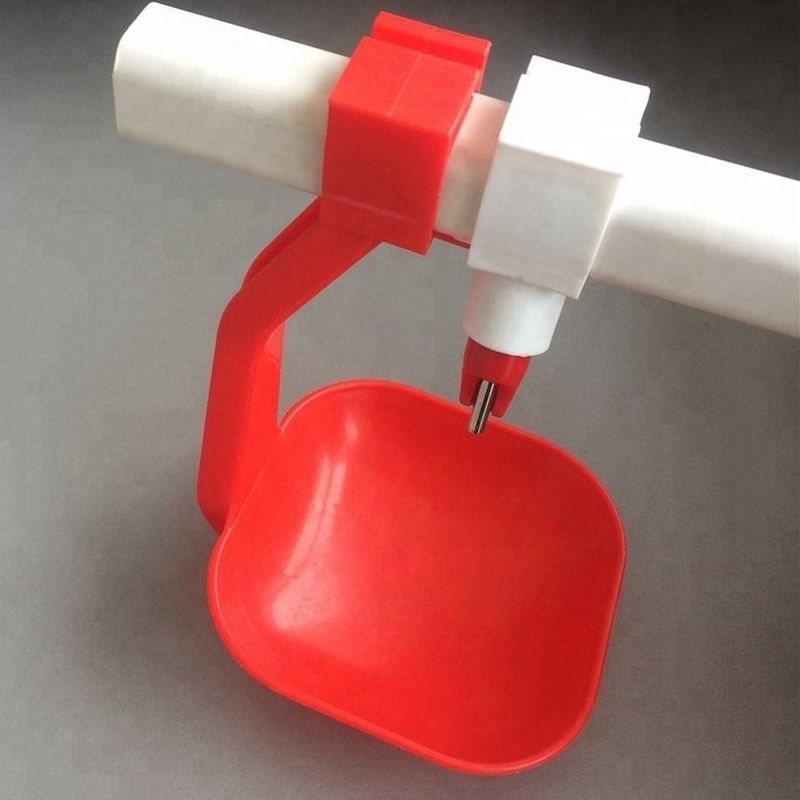Automatic Poultry Nipple Drinker With Cup PVC Pipe Chicken Nipple Cups