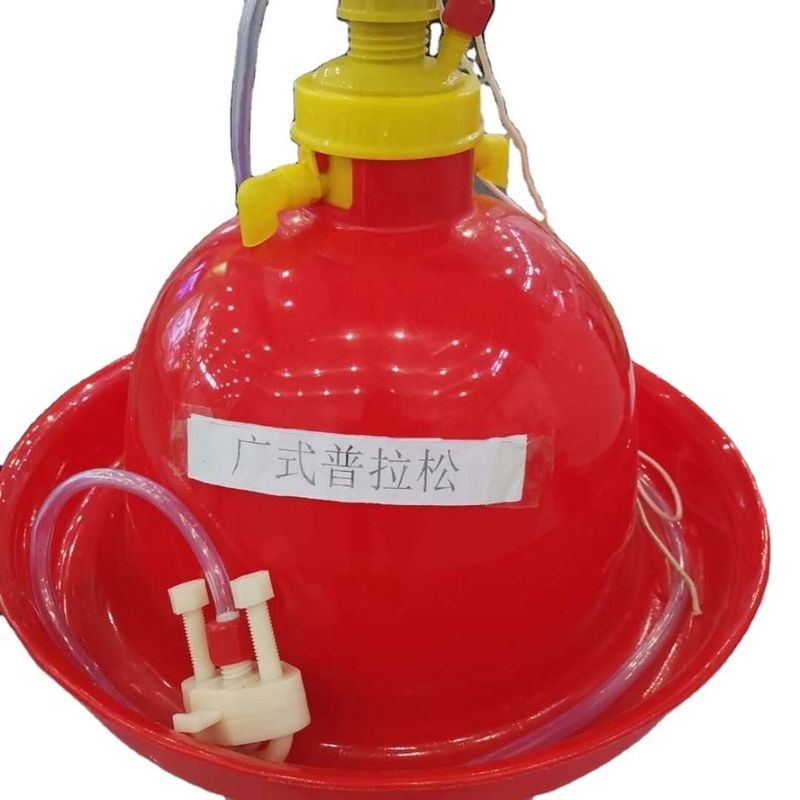 Automatic Plasson drinkers chicken feed