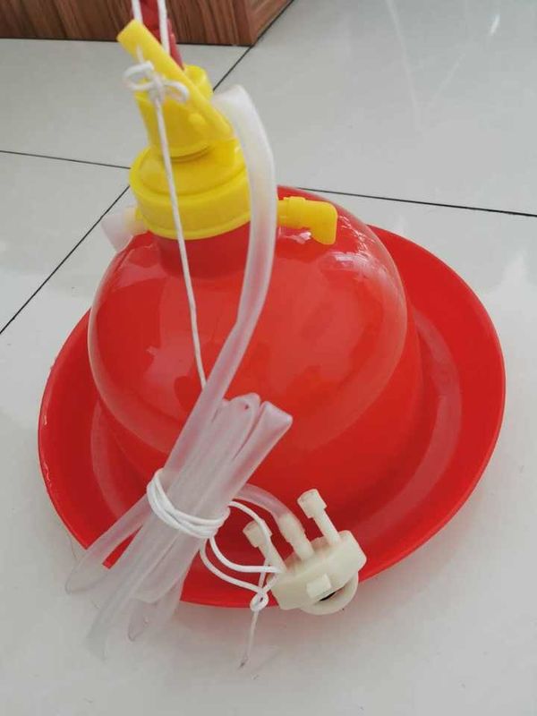 Automatic Plasson drinkers chicken water