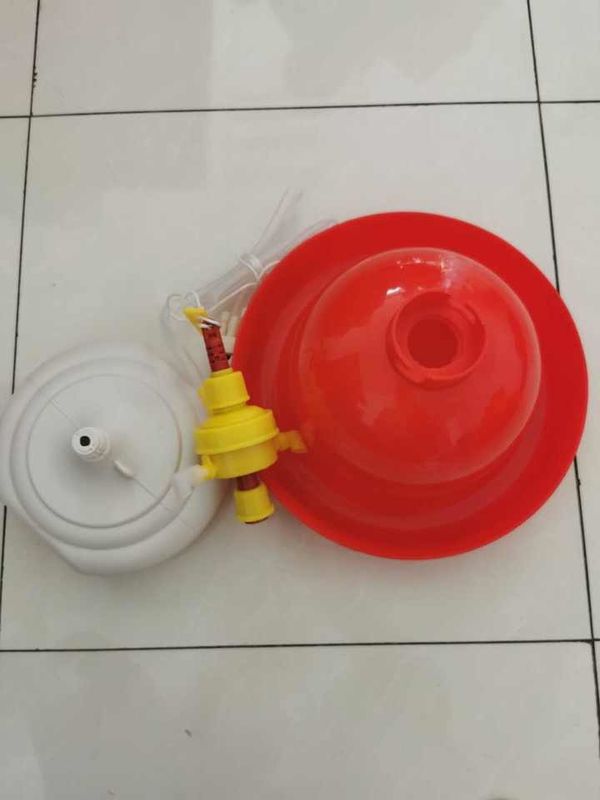 Automatic Plasson drinkers chicken waters