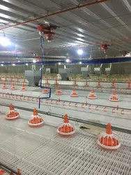 Customized 110V Pan Feeding System For Broiler Chicken Pan Feeder