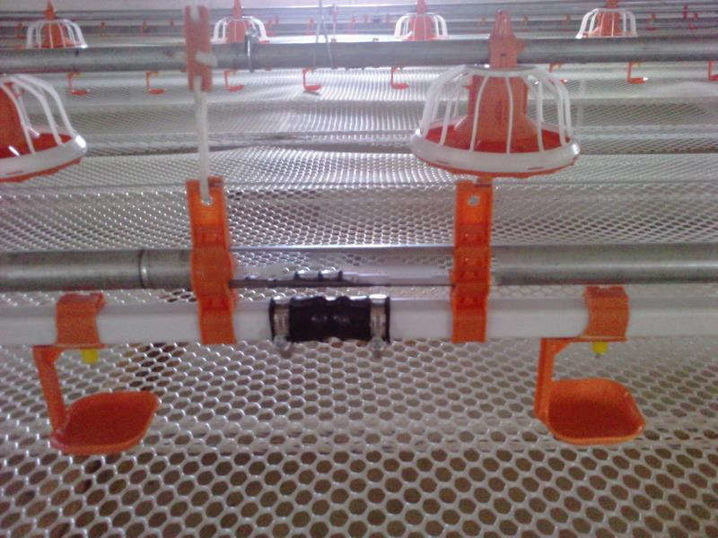 Animal Hydration Poultry Drinking Line 0.6MPa Broiler Auto Drinker