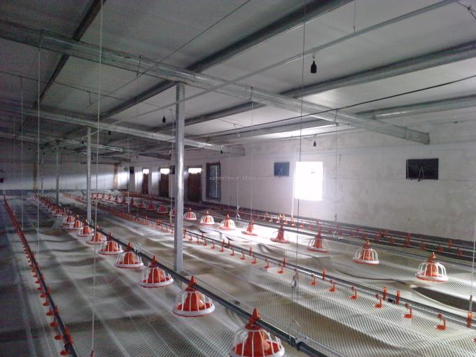 Automatic Poultry Broiler Pan Feed Feeding System for floor ground farm house China factory