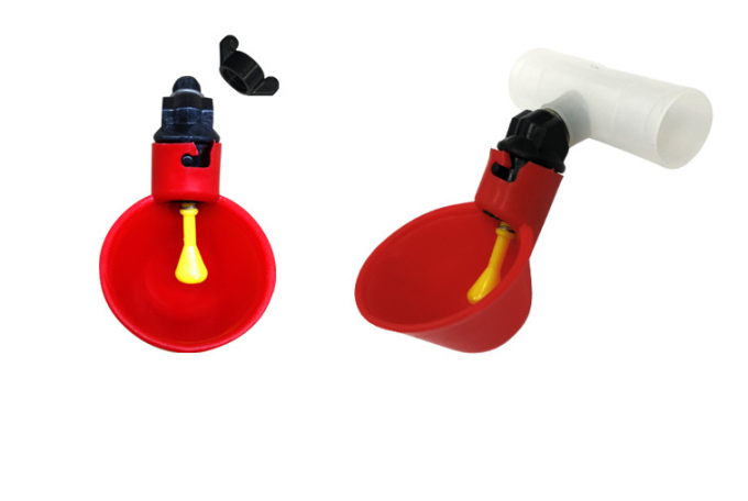 Animal Farm Tools Automatic Chicken Bird Coop Poultry Water Drinking Bowl Plastic Chicken Chick Fowl Nipple Drinker Drip 5
