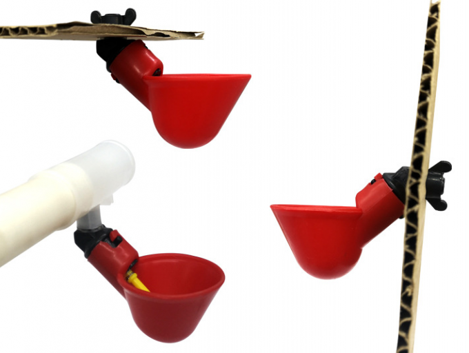 Animal Farm Tools Automatic Chicken Bird Coop Poultry Water Drinking Bowl Plastic Chicken Chick Fowl Nipple Drinker Drip 7