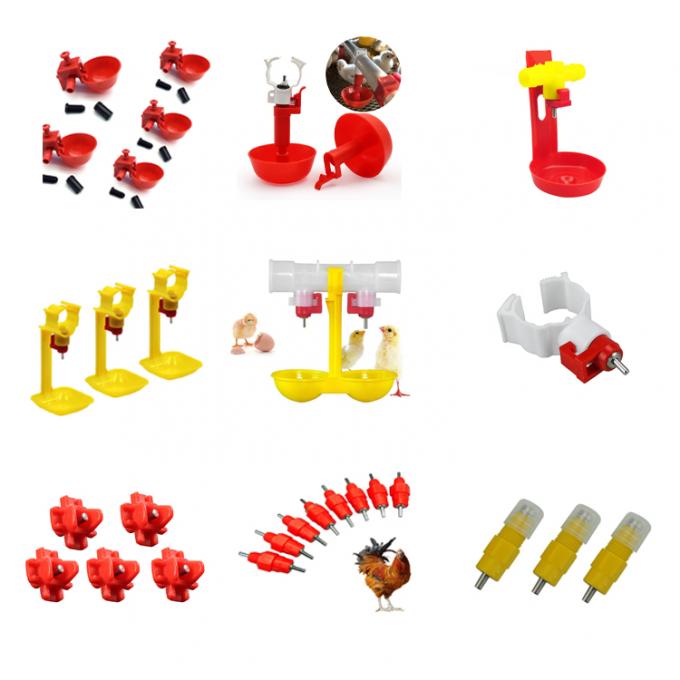 Customized Poultry Chick Line Feeder Broiler House Flooring Tube Chain Conveyor 7