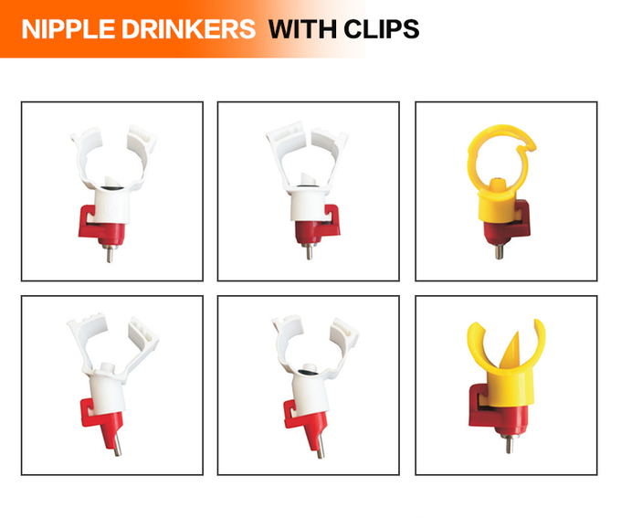 40-Pack Chicken Nipple Drinkers – Stainless Steel Poultry Waterers For Hens, Ducks, Waterfowl